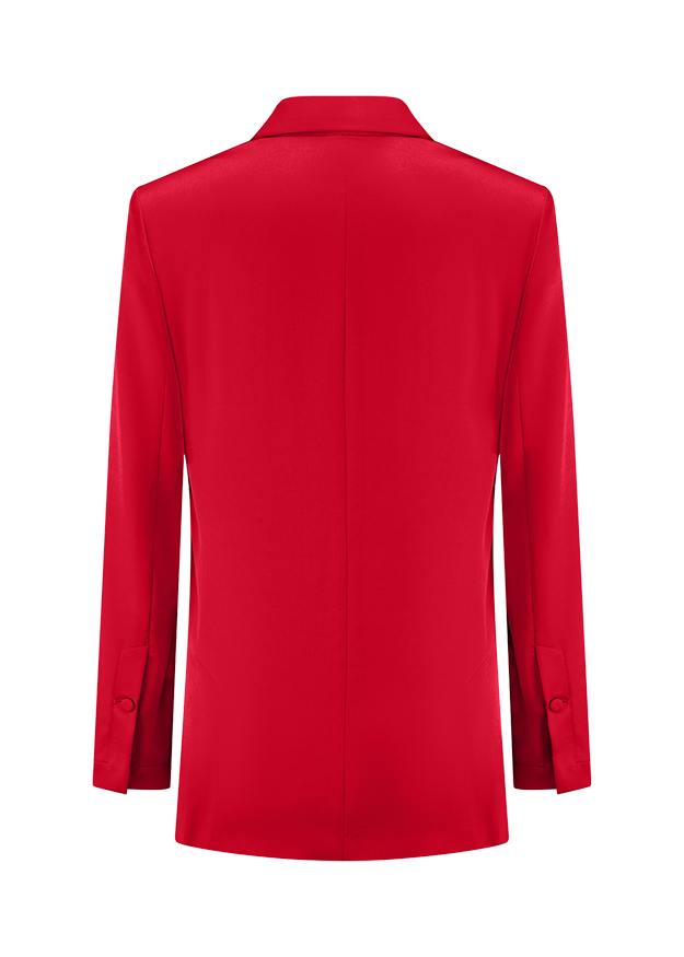 blazer, rot, langarmig, kragen, rückseite