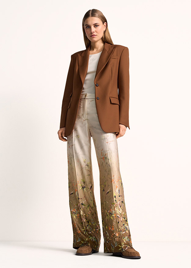Blazer, Braun, Einfarbig, Hose, Mustertop