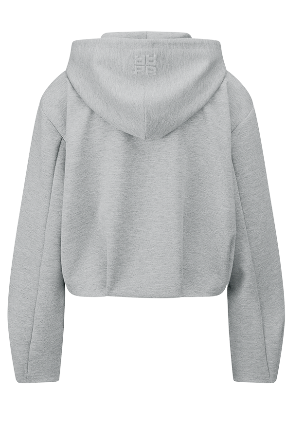 Hoodie, Sweatshirt, Grau, Kapuzenpullover, Rückansicht