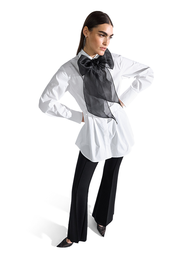Bluse, Mantel, Hemd, Formelle Kleidung, Krawatte