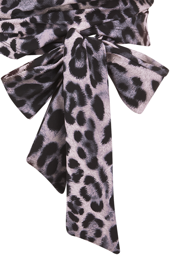 Bekleidung, Halstuch, Säugetier, Tierwelt, Zebra