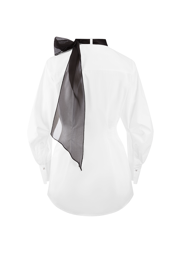 Hemd, Formelle Kleidung, Krawatte, Bluse, Kleid, Hemd