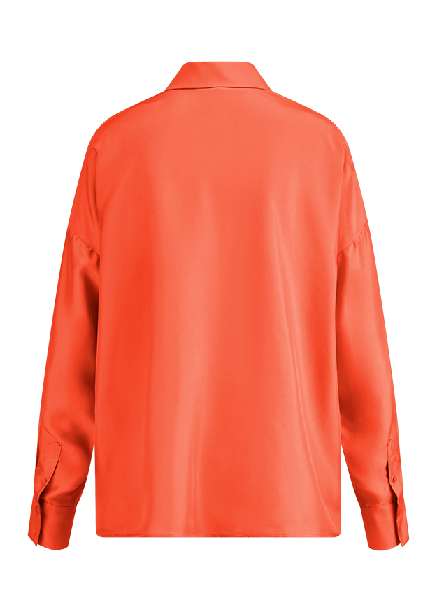 Seidenhemd, Orangenehem, Langarm, Kragen, Rückansicht