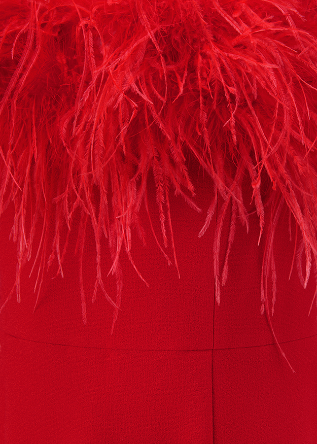 rotes Kleid, Federbesatz, rote Federn, glatter Stoff