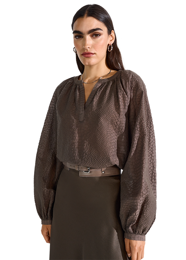 Blouse with Balloon Sleeves