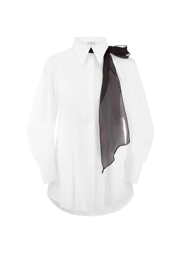 Hemd, Formelle Kleidung, Krawatte, Langarm, Kleid, Hemd